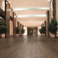 Vinylová podlaha lepená Adore Floors Viceroy WOODLAND 1665