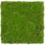 Mechový obkladový panel Jangal Modular Wall Design Moss FOREST GREEN BULK 11111, 520 x 520mm, 0,2704m²
