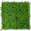 Květinový obkladový panel Jangal Modular Wall Nature Design Flora THUJA TEA TREE 11105, 520 x 520mm, 0,2704m²