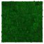 Přírodní mechový obkladový panel Jangal Modular Wall Nature Moss NATURE GREEN 11100, 520 x 520mm, 0,2704m²