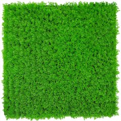Květinový obkladový panel Jangal Modular Wall Design Flora Bright Green Design Grass 11115, 520 x 520mm, 0,2704m²