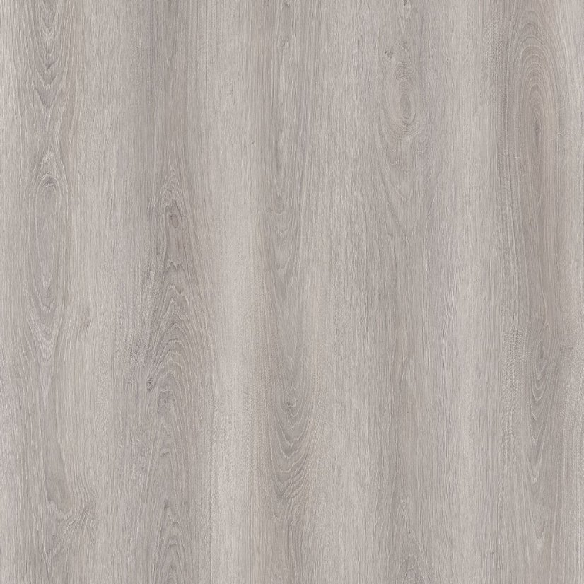 Vinylová podlaha lepená Republic Floor Dryback Grizzly BLUSH DG006