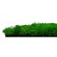 Přírodní mechový obkladový panel Jangal Modular Wall Nature Moss RICH GREEN - 11101
